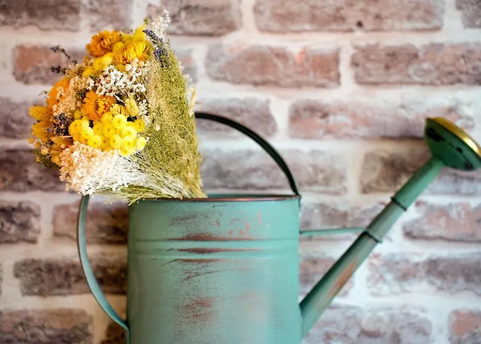 Ibis Styles Malabry Paris Sud 3*